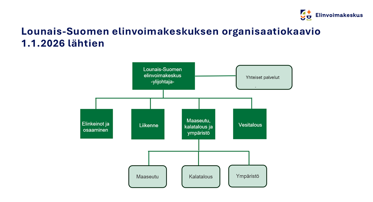 Lounais-Suomen elinvoimakeskuksen orrganisaatiokaavio 1.1.2026 lähtien.