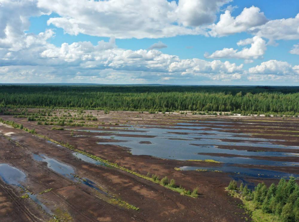 Kuvituskuva entiseltä turvetuotantoalueelta.