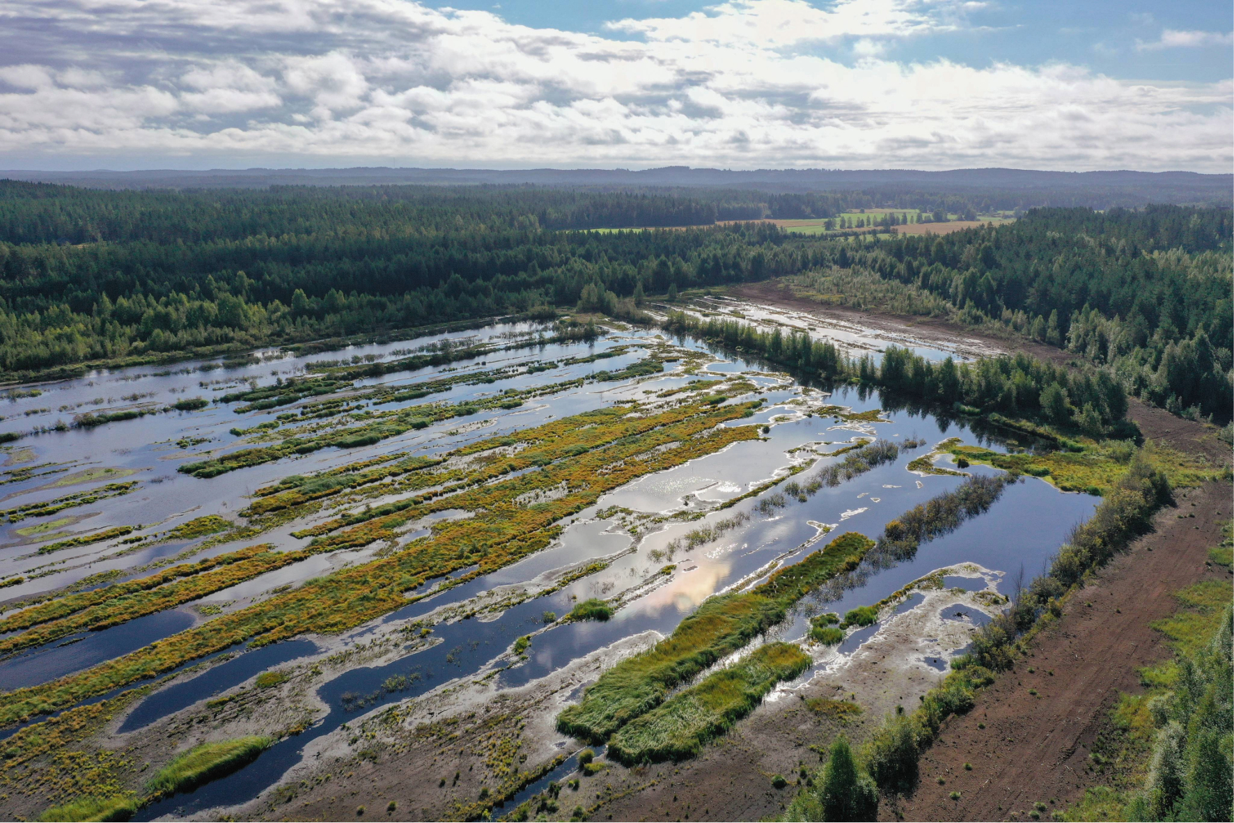 Ilmakuvassa näkyy suomaisemaa metsien keskellä.