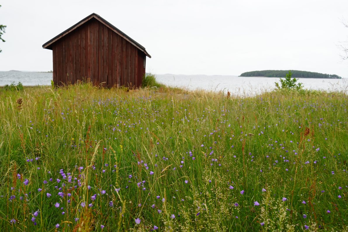 Lato saaristomaisemassa.
