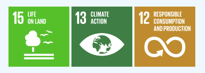 Kuvassa listattu ylläolevat YK:n tavoitteet, joita kuvattu erilaisten ikoneiden avulla. 