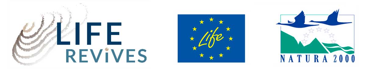 LifeRevives logot: