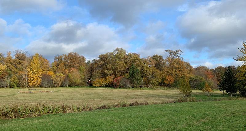 Syksyisiä puita, peltoa ja sinistä taivasta, jossa pilviä.